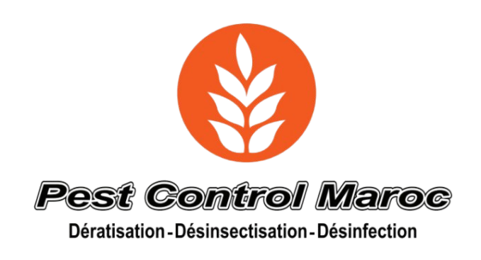 Logo 4